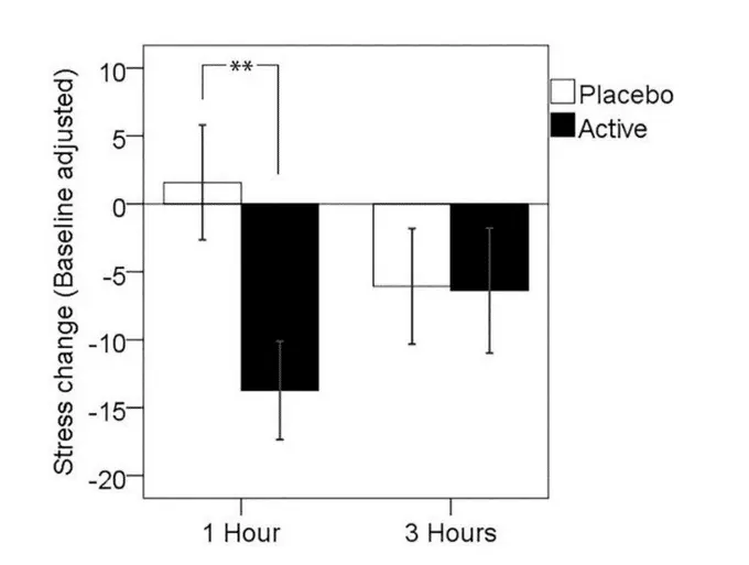 L-Theanine cortisol results