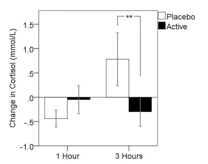 L-Theanine cortisol results