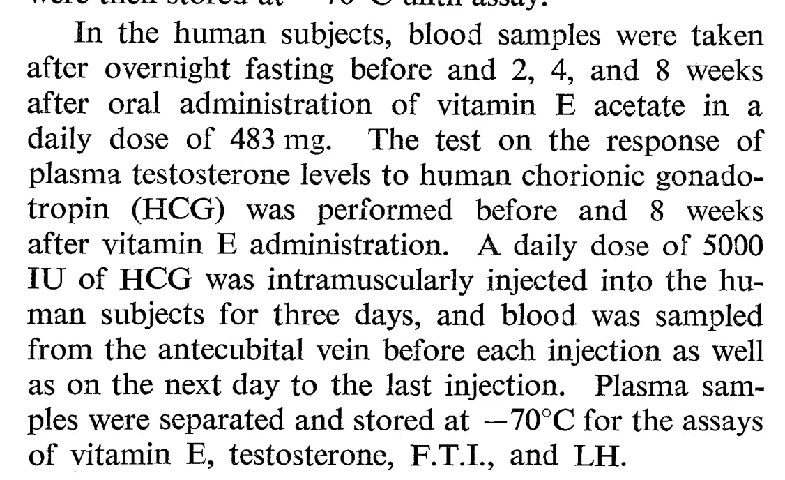 Vitamin E testosterone study