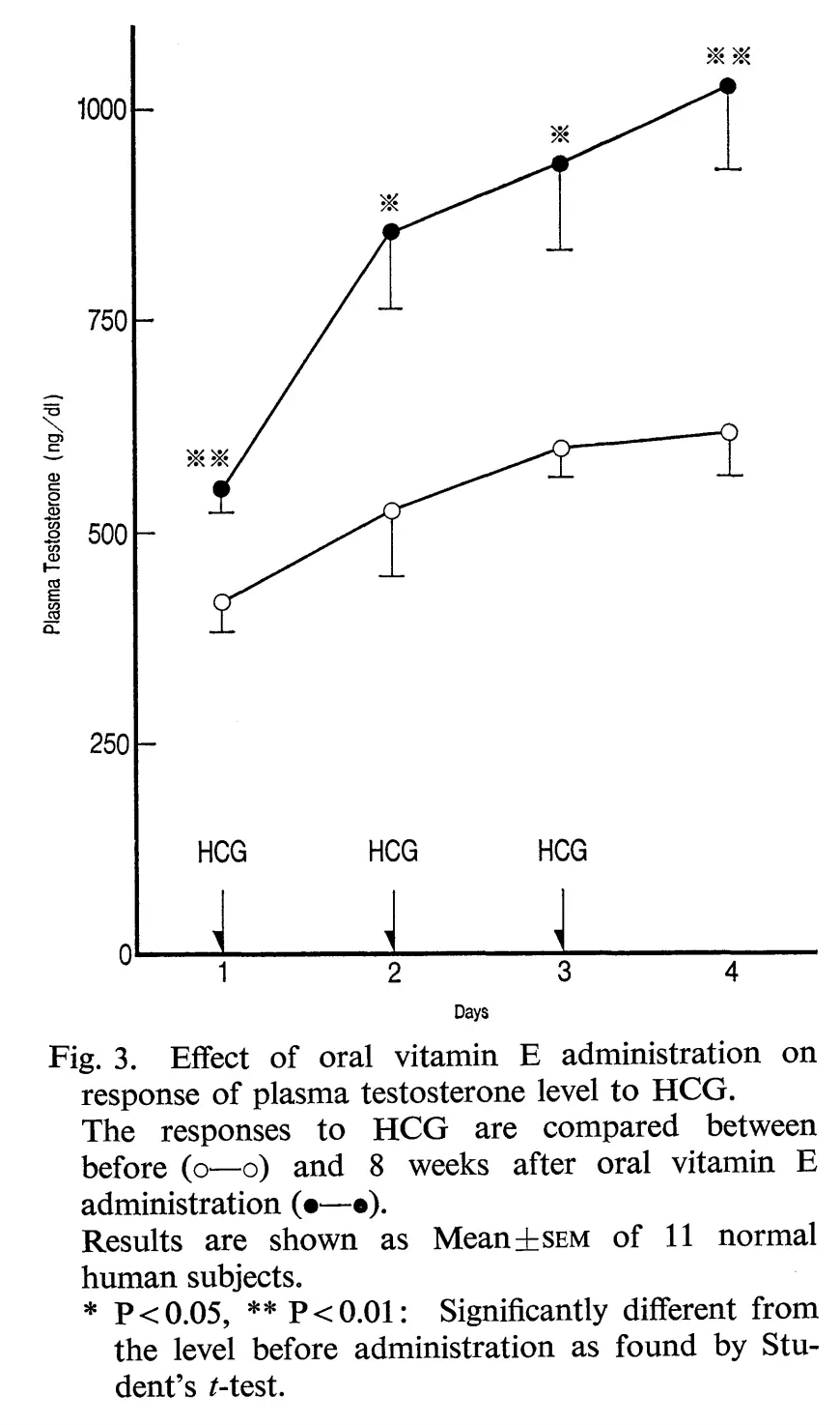 Vitamin E testosterone study