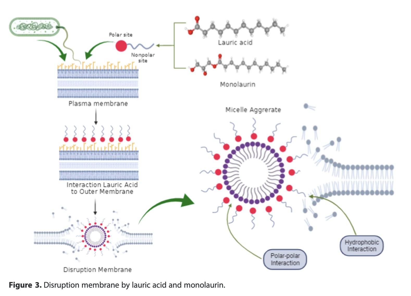 coconut oil pulling study